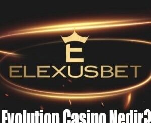 Evolution Casino Nedir?